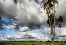 卡塔尔亚洲杯积分榜有哪些关键信息？