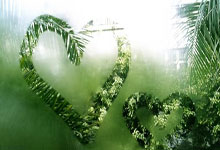 亚洲杯男篮中国对阵日本，这场比赛有哪些看点和关键因素？