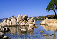 大赢家旧版足球比分直播有哪些独特之处，为何曾受球迷喜爱？